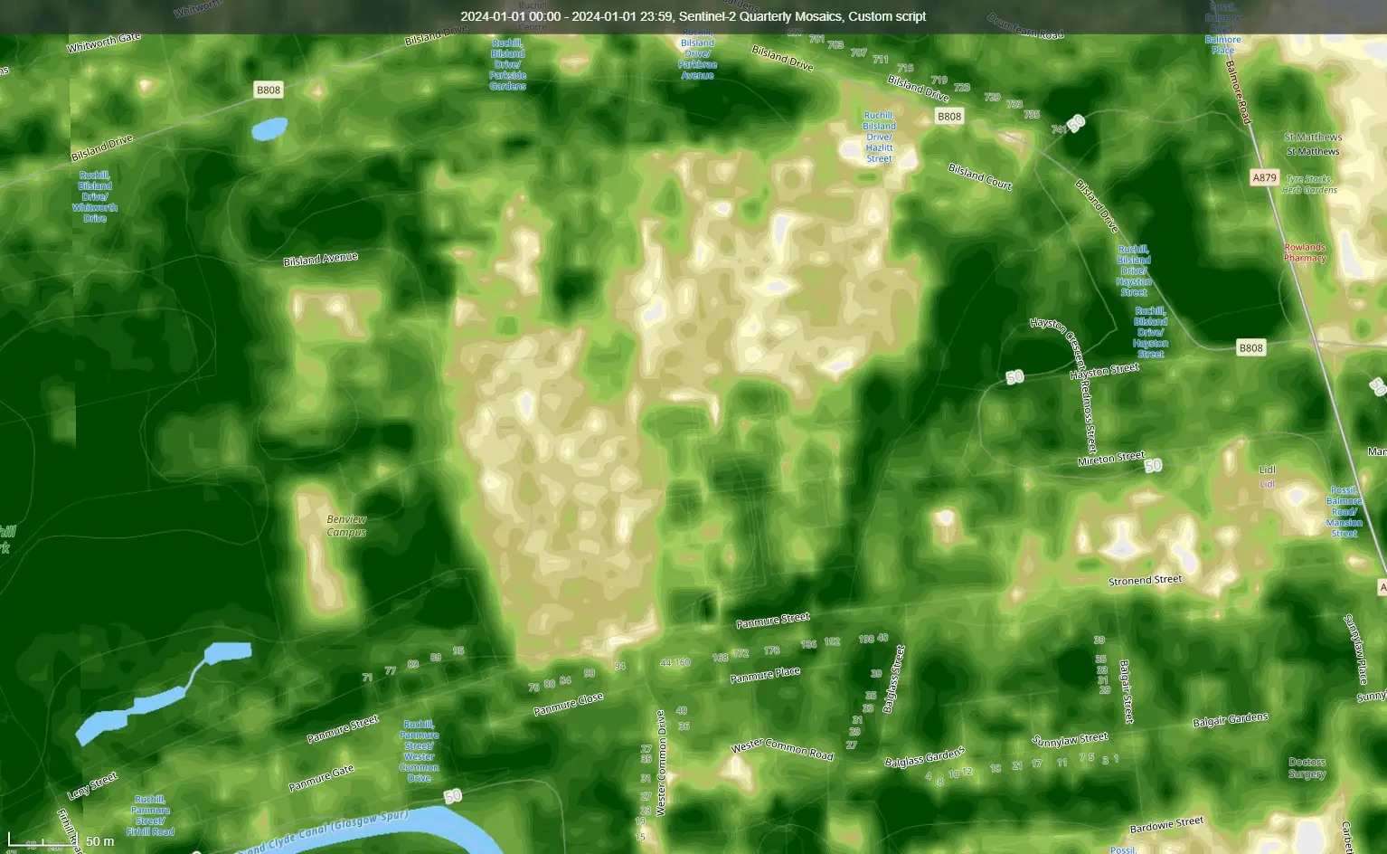 2024-01-01-00_00_2024-01-01-23_59_Sentinel-2_Quarterly_Mosaics_Custom_script