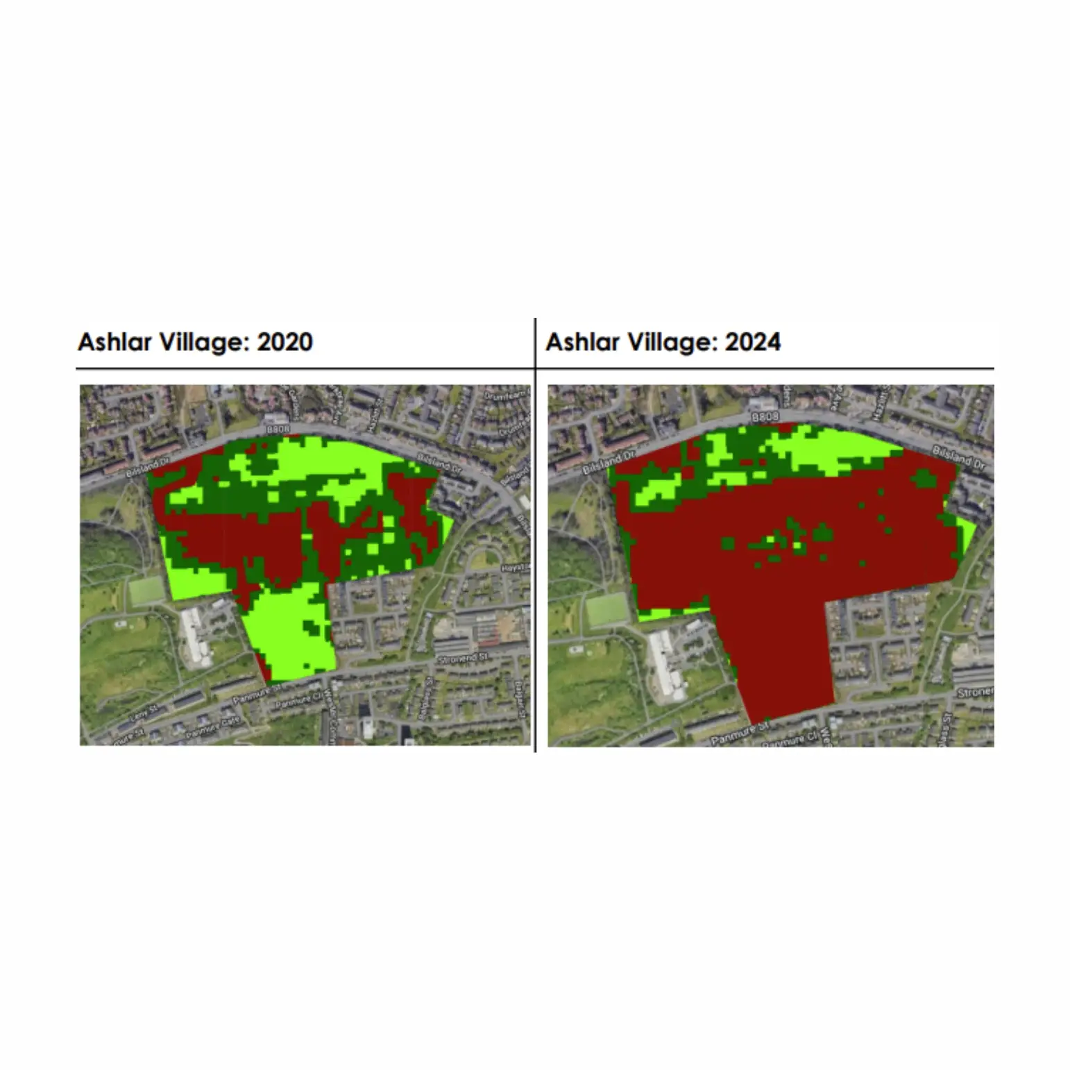 Biodiversity 1 - 1542 by 1542 pixels