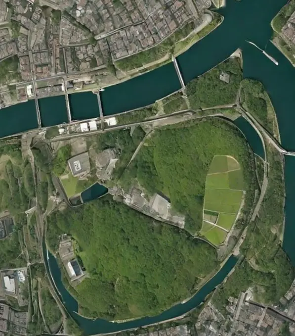 BIODIVERSITY - 597 by 679 pixels